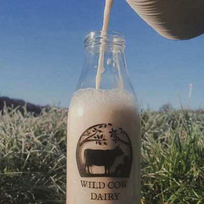Milk with Kindness at Its Heart